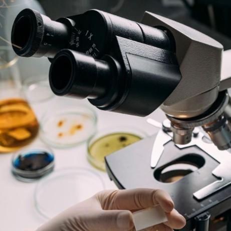 Благоприятное воздействие фукоидана на пациентов с хронической вирусной инфекцией гепатита С