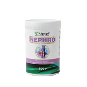 Algasgel NEPHRO - здоровье почек и мнчеполовой системы